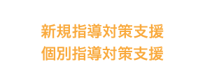 新規指導対策支援個別指導対策支援